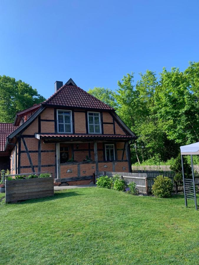 Ferienwohnung Muehlendamm Bergen  Buitenkant foto